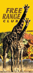 freerangeclub giraffe
